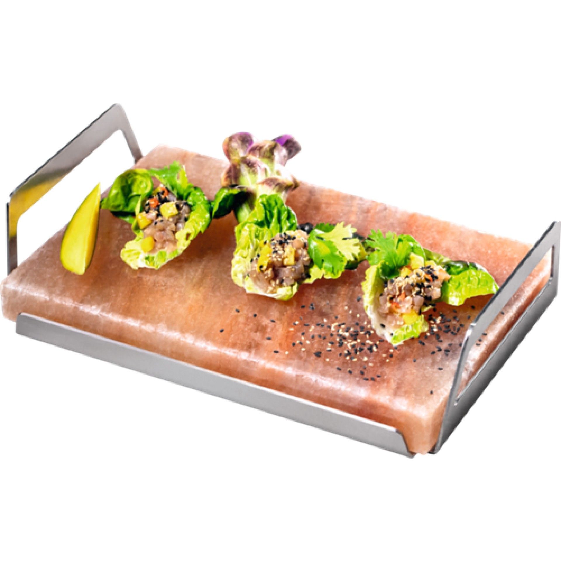 Bloco de sal Electrolux - E2SLT