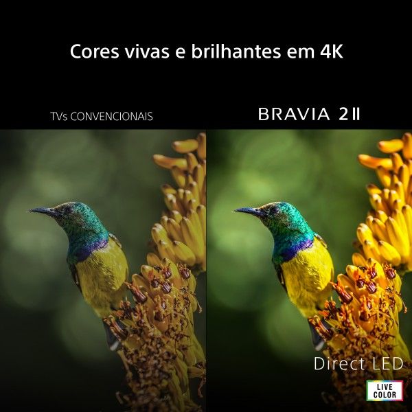 Sony 43" BRAVIA 2 II Direct LED 43S25M2 Sony 43" BRAVIA 2 II Direct LED 43S25M2