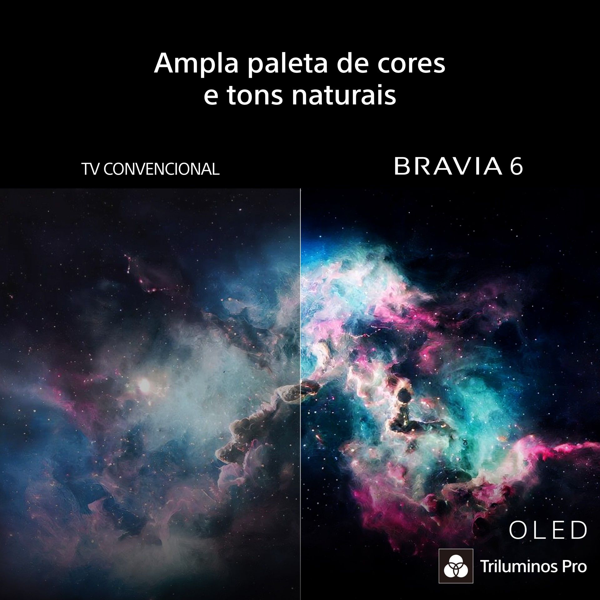 TV SONY BRAVIA 6 K-65A65 (OLED - 65